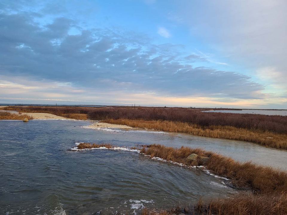 Churchill Manitoba Oct 2023 41